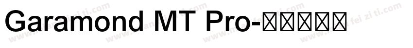 Garamond MT Pro字体转换